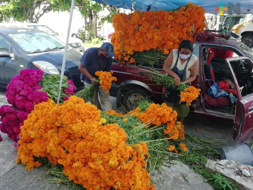 Venta de flor de Cempasúchil no ha sido como se esperaba