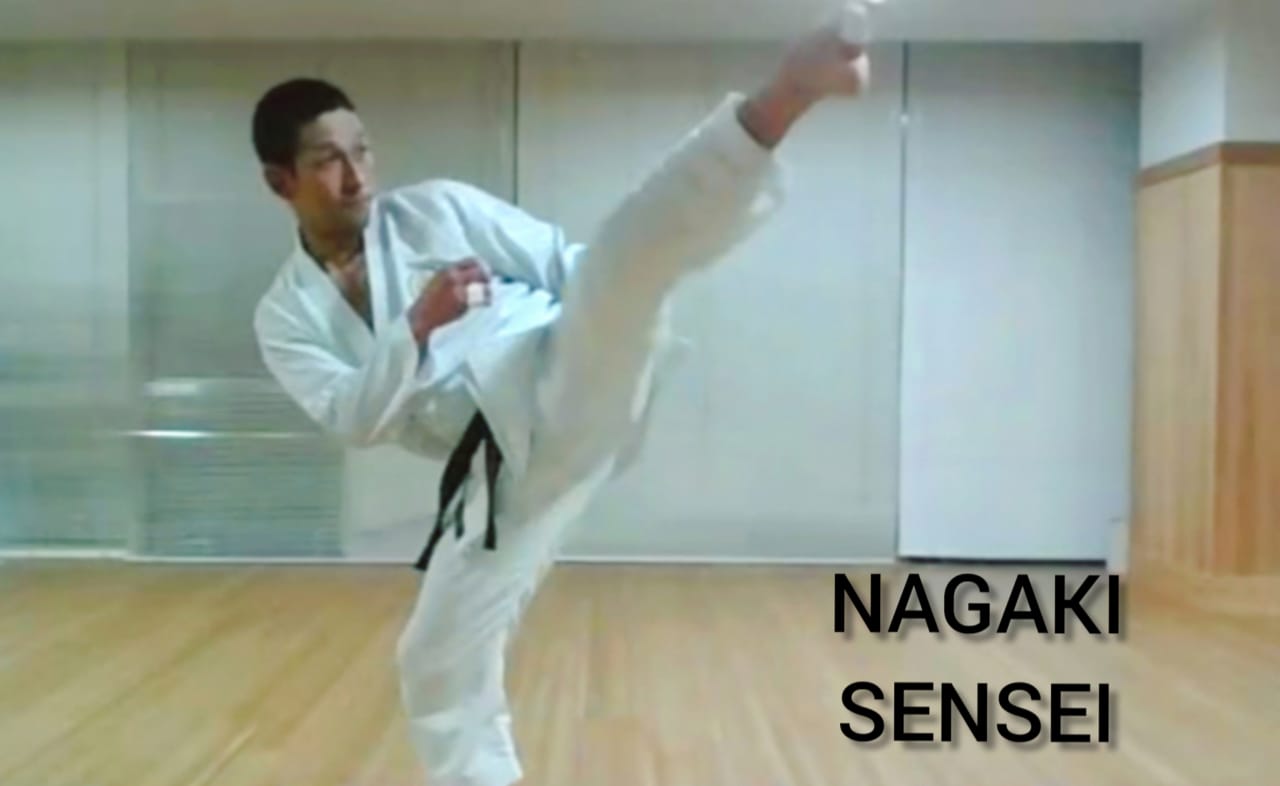 Veracruzanos reciben clases internacionales de Karate