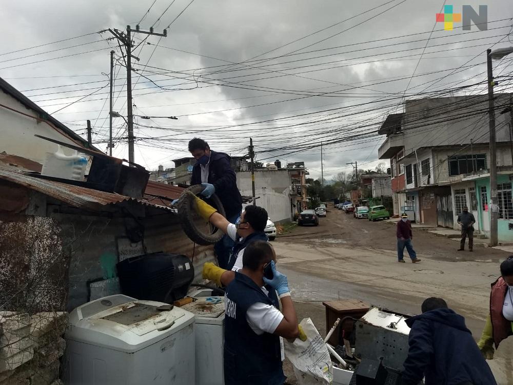 En colonia Emiliano Zapata de Xalapa realizan jornada de descacharrización