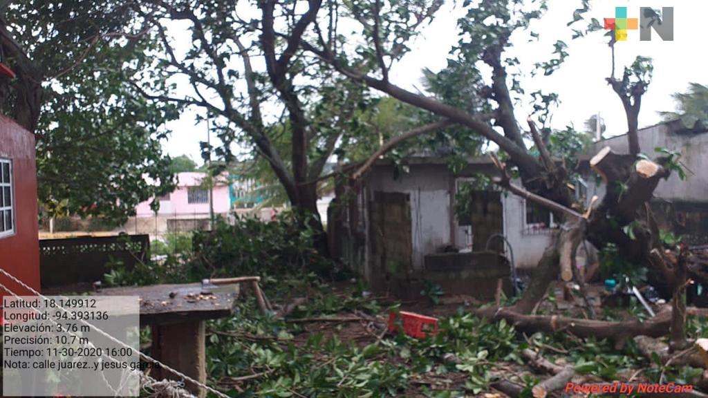Postes, árboles y caídos por efectos del FF 17 en Coatzacoalcos