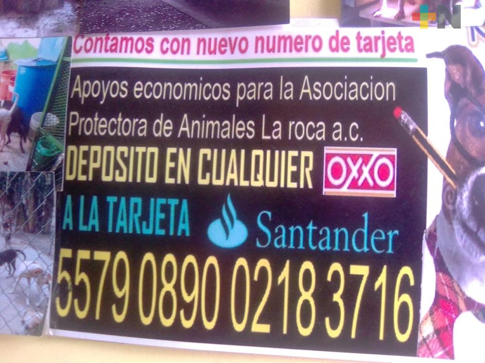 Asociación «La Roca» realizará croquetón, en Medellín de Bravo