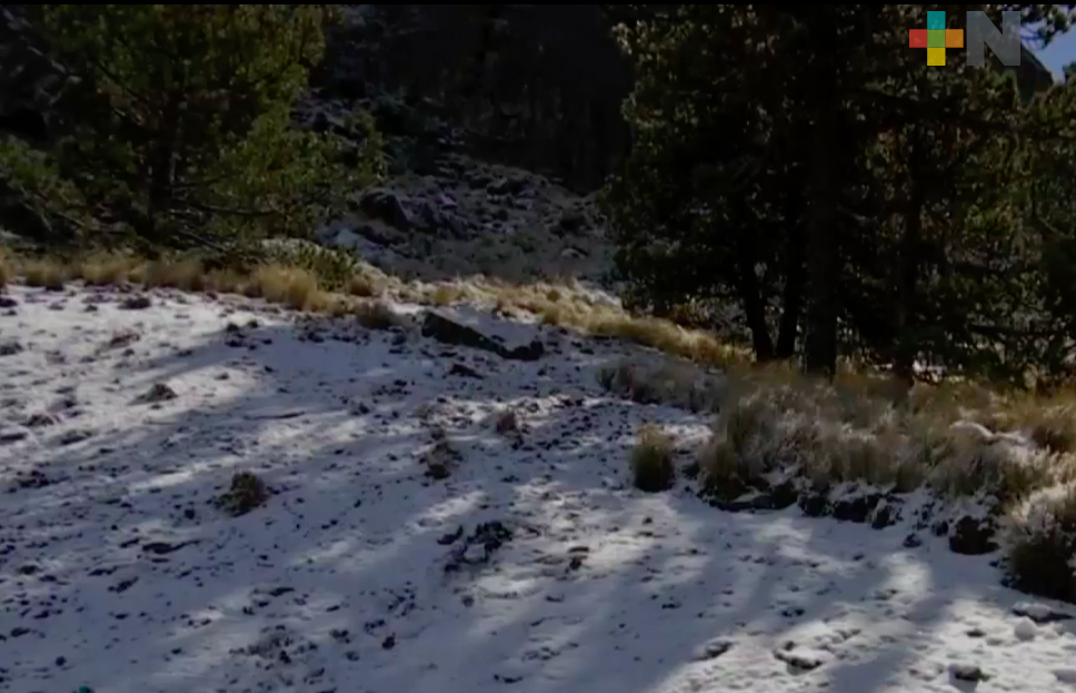 Segunda caída de nieve en la parte alta del Cofre de Perote en este año