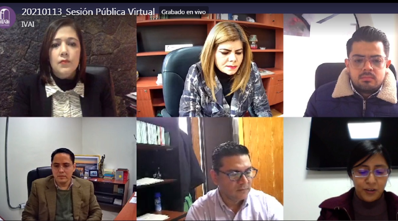 IVAI trabajará por el derecho humano al acceso a la información pública