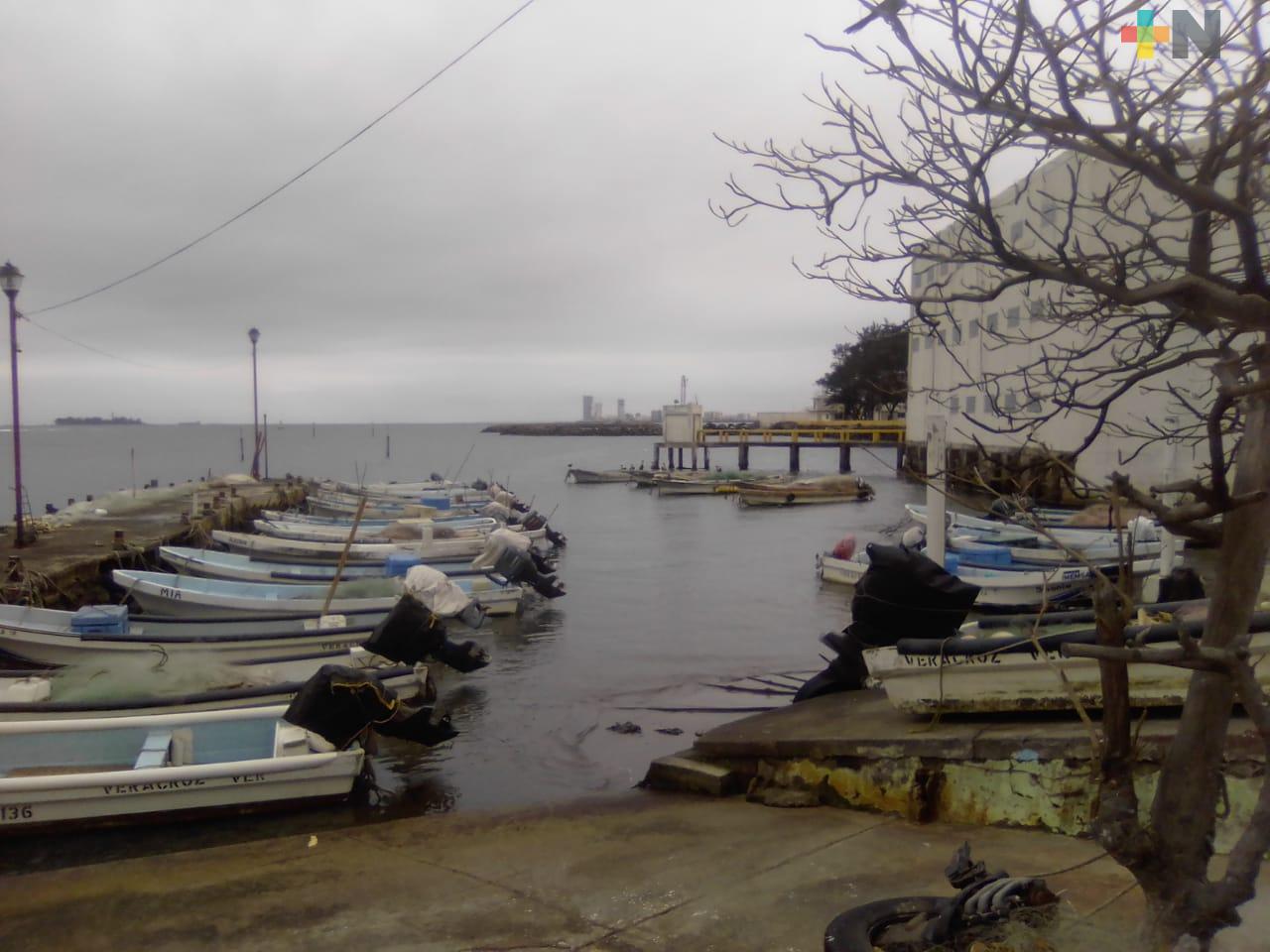 Pescadores de zona conurbada pedirán les permitan pescar pulpo