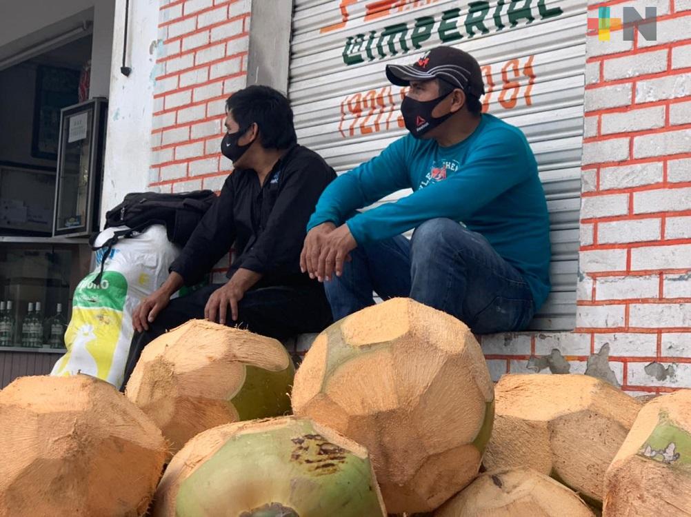 Productores de coco llegan a Coatzacoalcos para comercializar su producto