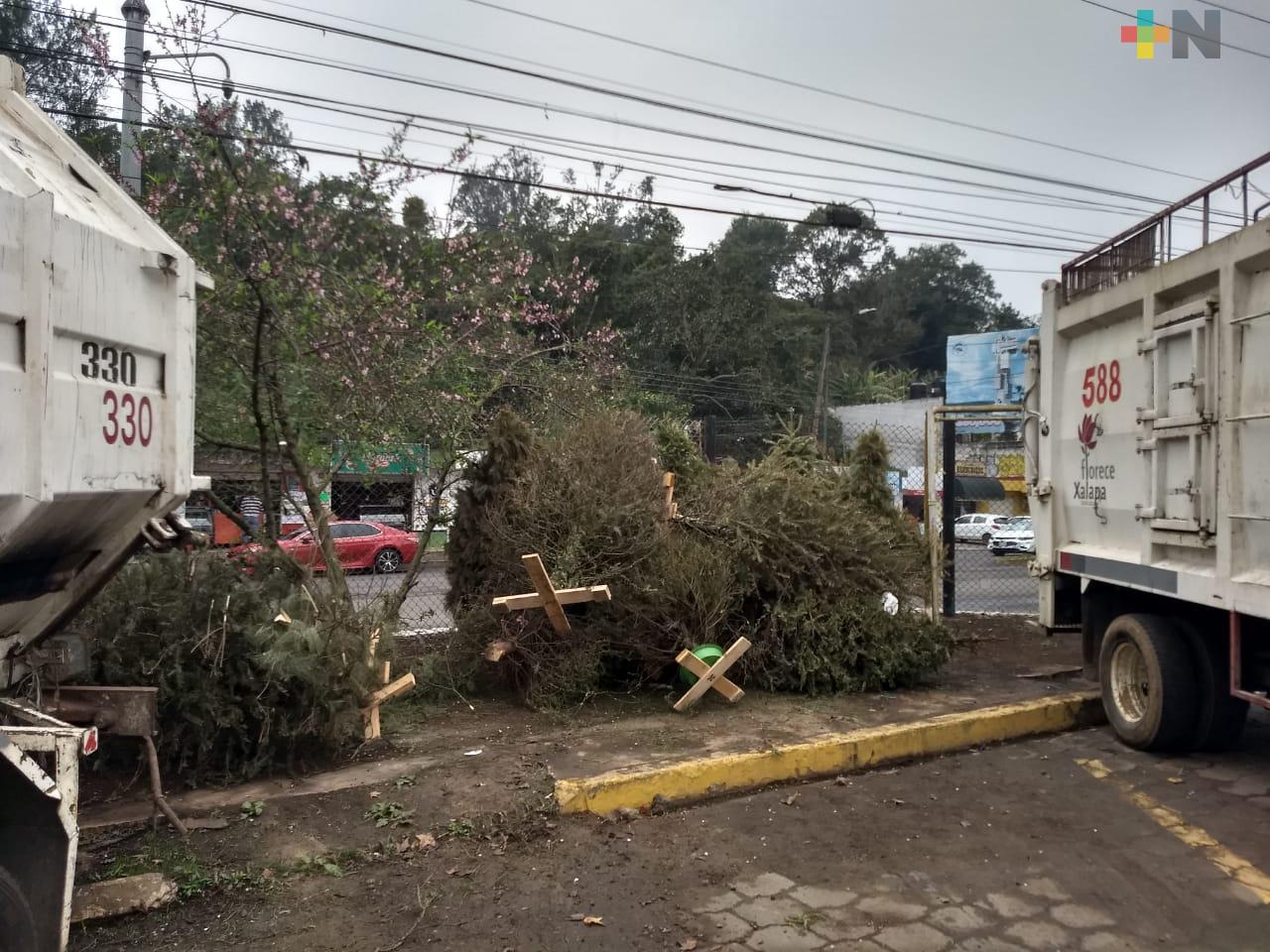 En Xalapa operan 14 centros de acopio del programa Recicla tu Navidad