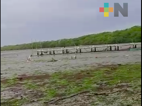 Agua de laguna en Alvarado se retiró 500 metros de la orilla