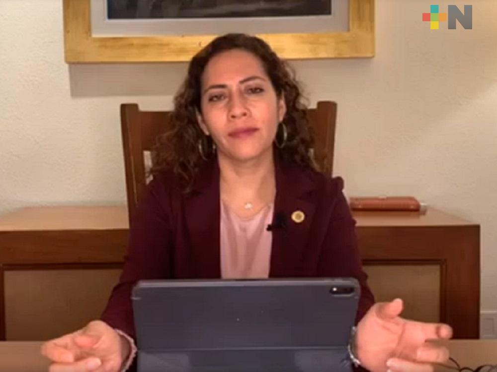 Falso que Ley de la Industria Eléctrica pretenda monopolizar generación de energía: diputada Tania Cruz
