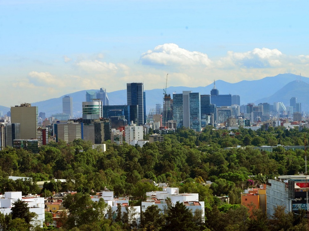 Instalarán planta piloto para producir biocombustible