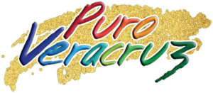 LOGO_PURO_VERACRUZ