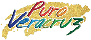 LOGO_PURO_VERACRUZ