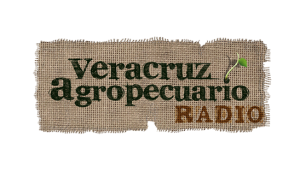veracruz agropecuario radio