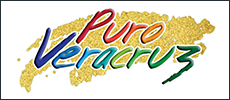Logotipo del programa Puro Veracruz
