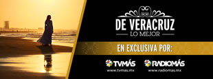 DVLM2