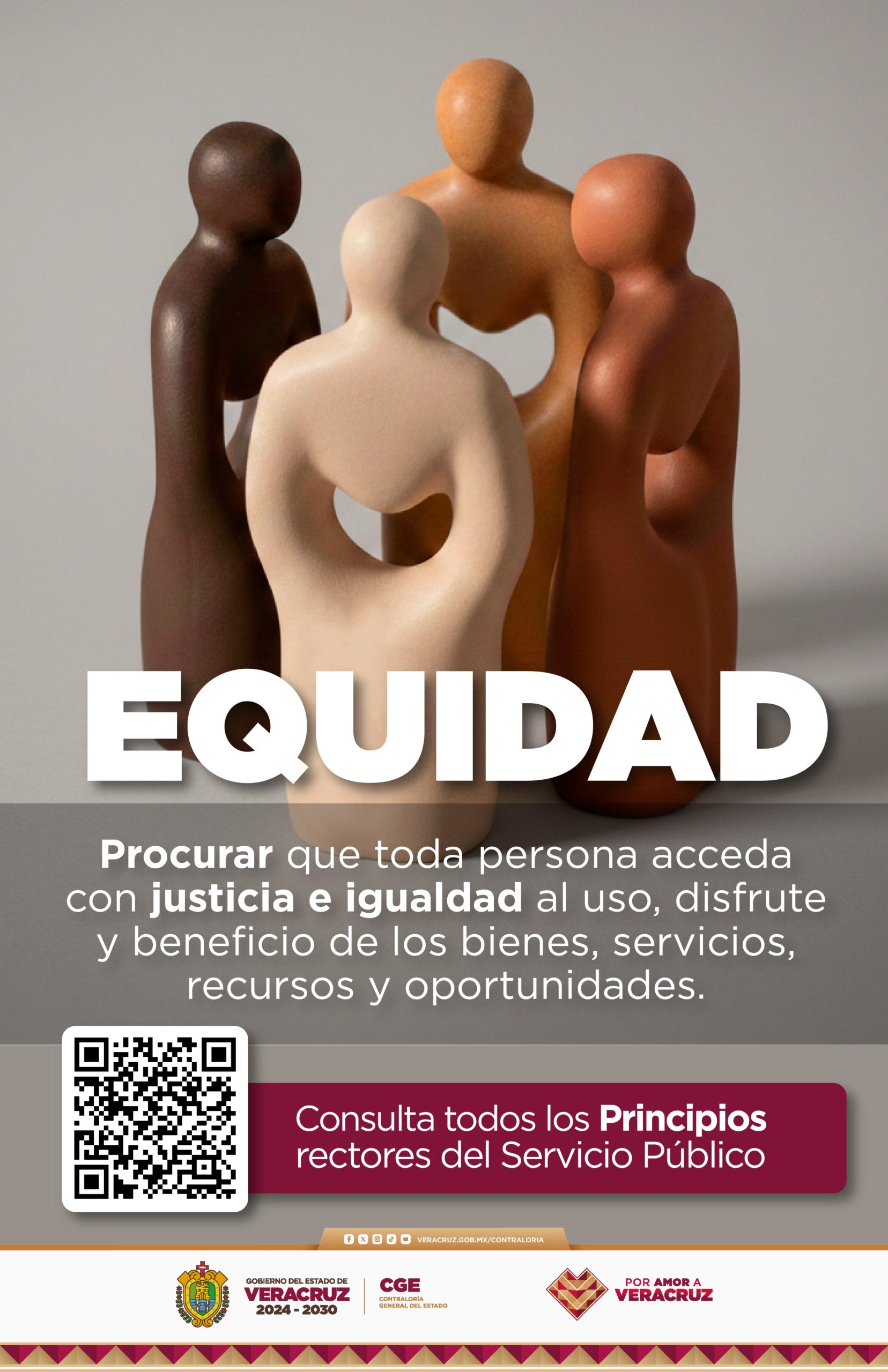 Principio Rector del Servicio Público XV