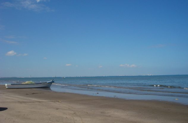Limpias Playas Veracruzanas: COFEPRIS