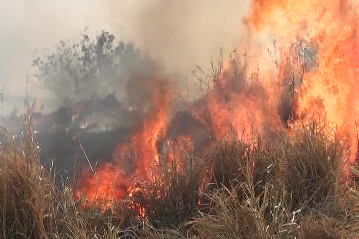 Controlan incendios en la región de Coatzacoalcos