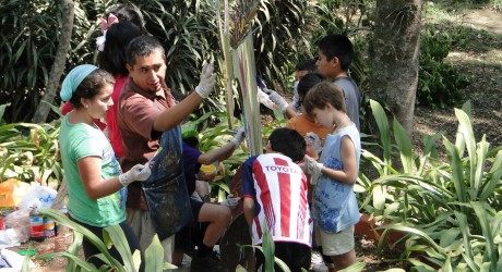 Realizará Ivec III Festival Niños y Niñas por la Naturaleza y el Arte