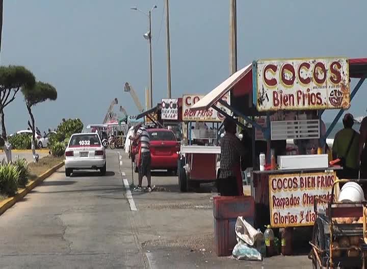 Hay desabasto de coco por amarillamiento letal en la zona sur de Veracruz