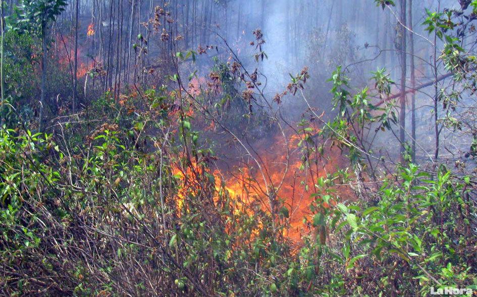 Incendios Forestales