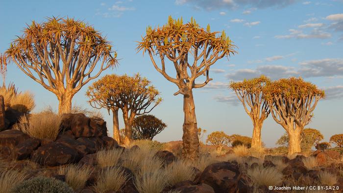 La protección del medio ambiente en Namibia empieza ya en el colegio