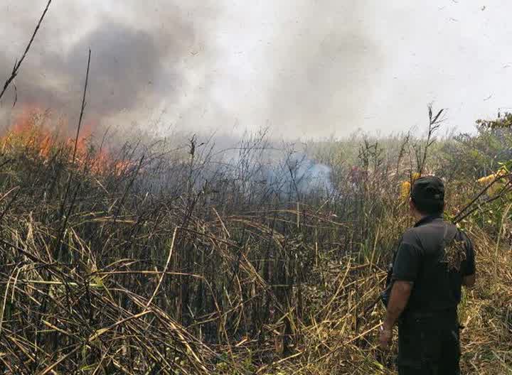 Semar y Conafor intervienen en el control del incendio forestal de Tecolutla