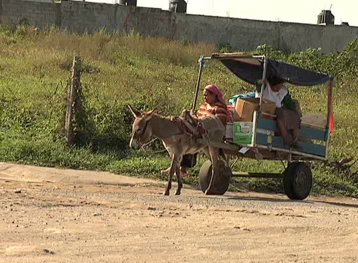 Veracruz participa activamente en la Cruzada Nacional Contra el Hambre