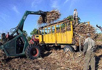 Terminó el paro nacional en los ingenios azucareros del país