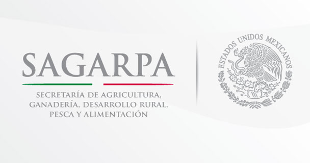 SAGARPA declara desastre en 27 municipios de Veracruz