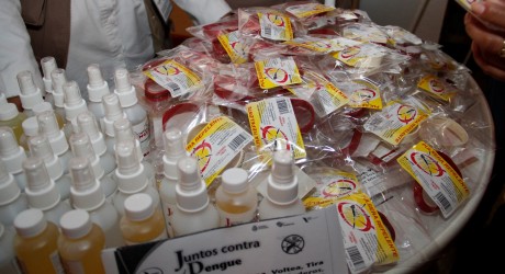 Disminuyen casos de dengue en Veracruz con jornadas de prevención