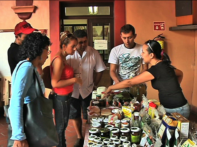 Mercado ecológico “Ocelotl”, 10 años fomentando salud y consumo local en Veracruz