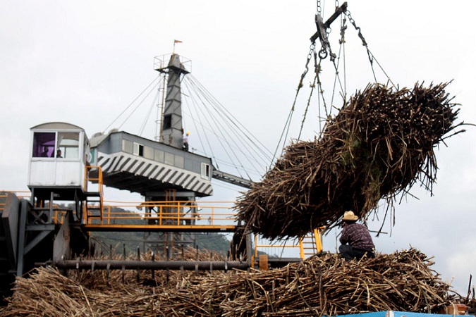 Venta de ingenios fortalecerá la agroindustria veracruzana