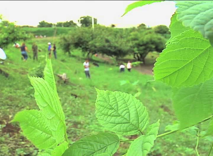 SEDEMA prepara campaña de reforestación