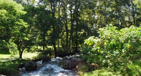 Xalapa, sede del Foro Sobre Áreas Privadas de Conservación