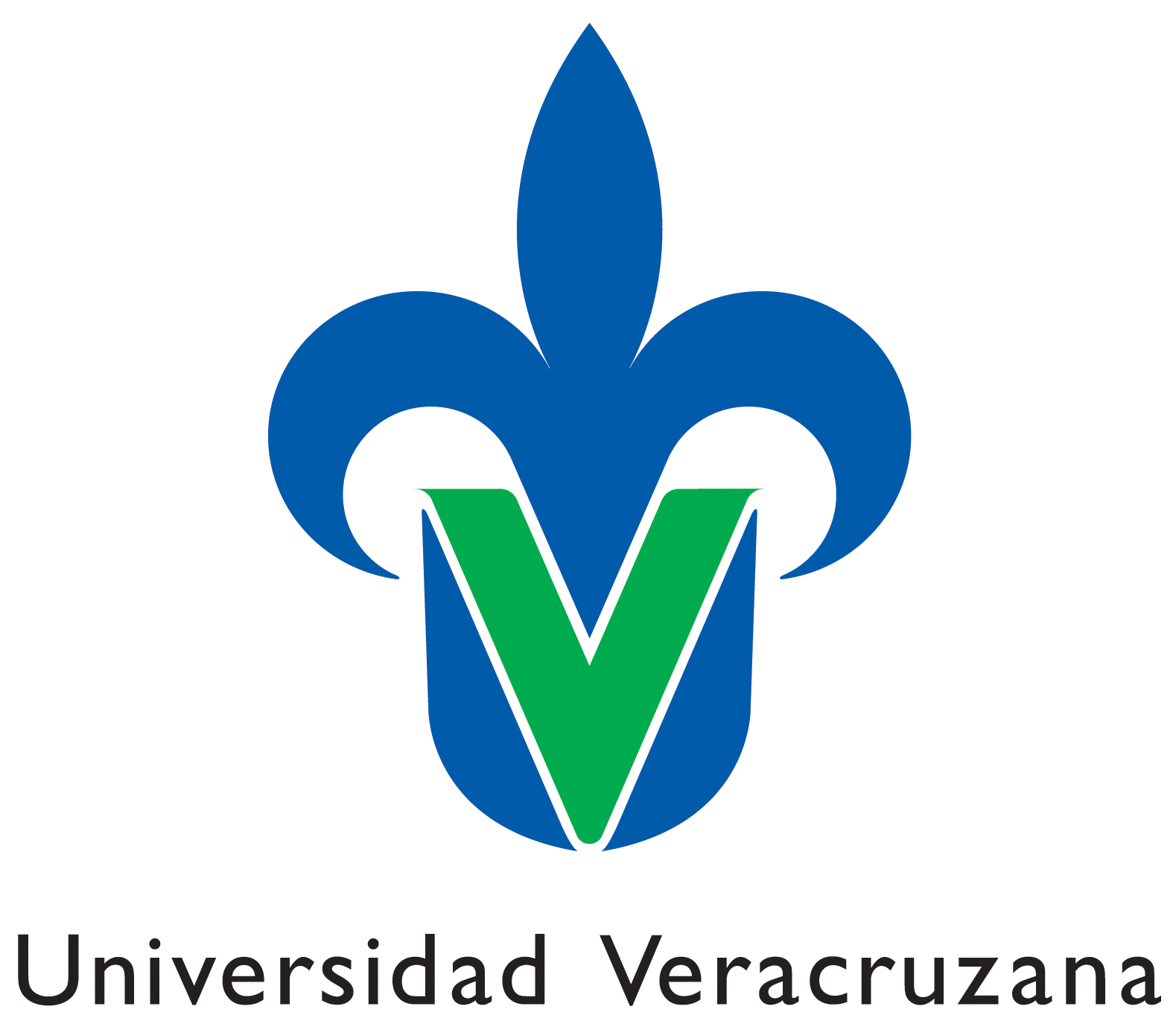 Alumnos destacan con productos  innovadores en la Feria de Emprendedores de la UV