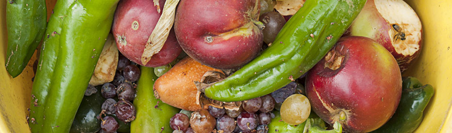 No desperdiciar alimentos, principal objetivo al celebrar Día Mundial del Medio Ambiente
