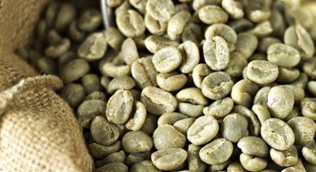 Creación del FORDECyT beneficiará producción de café en Veracruz