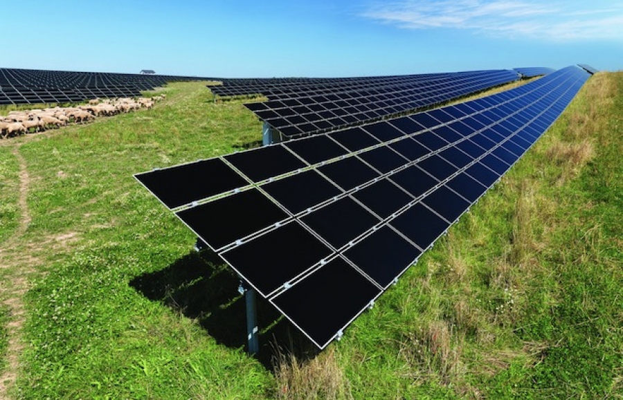 Granjas fotovoltaicas podrían ser opción en comunidades sin red eléctrica