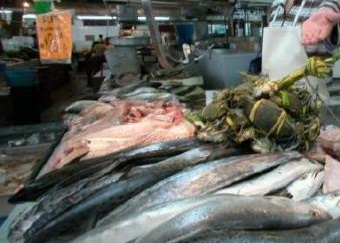 Escasez y aumento de precios en pescaderías deja “Barry” en Xalapa