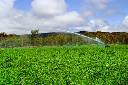 Promueven comercialización de productos del campo veracruzano en Florida y Arkansas