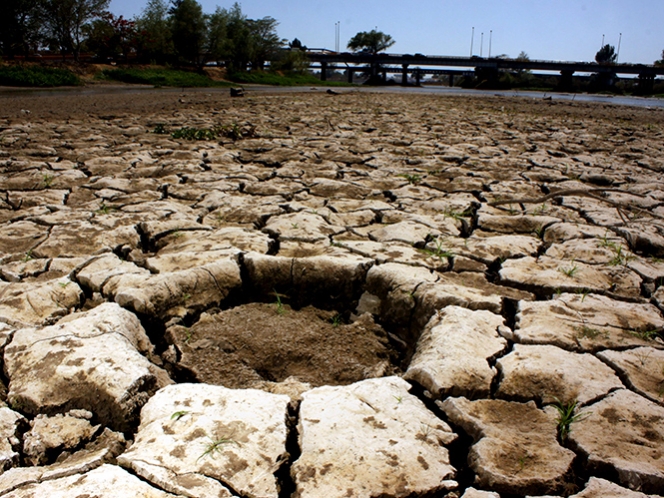 Sagarpa destinará más de 8 mil mdp para sequía