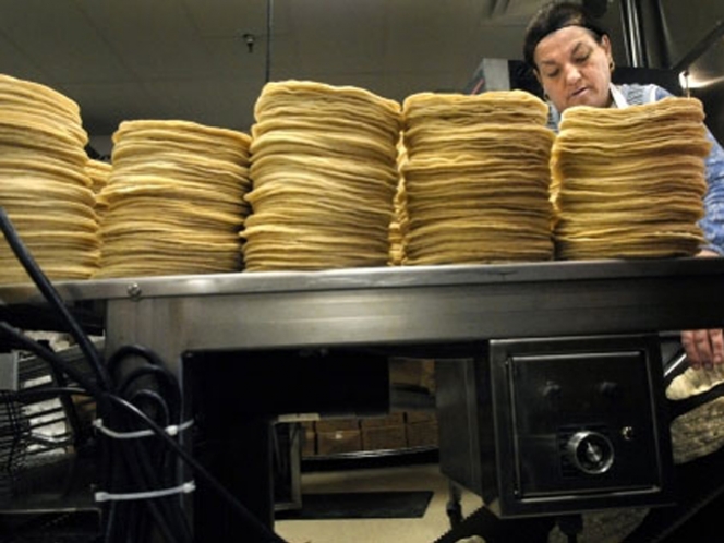 Volatilidad del dólar podría aumentar el precio de la tortilla