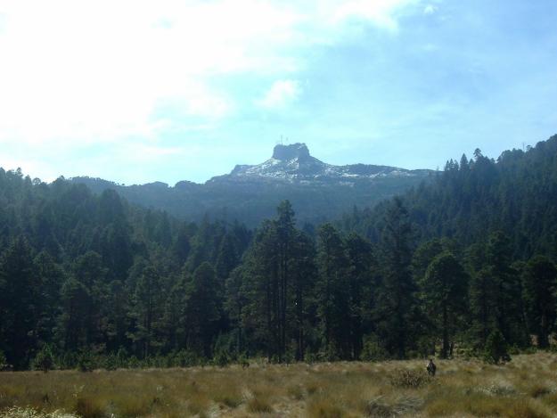 Notable restauración de suelos en Cofre de Perote