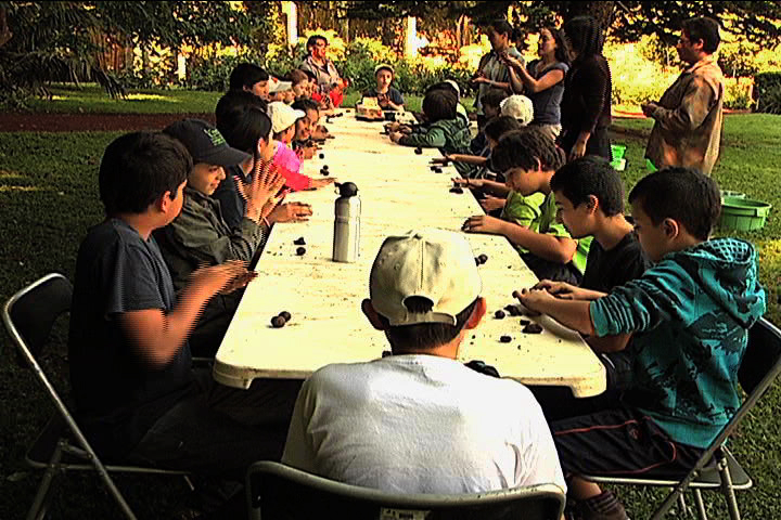 Talleres de educación ambiental en el Jardín Botánico “Francisco Javier Clavijero”