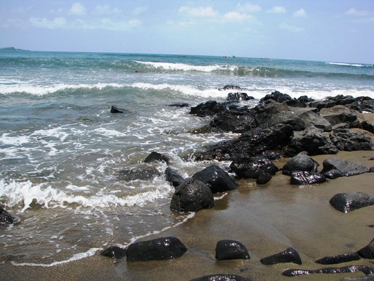 Pierde Veracruz playas, arrecifes y manglares por cambio climático y erosión
