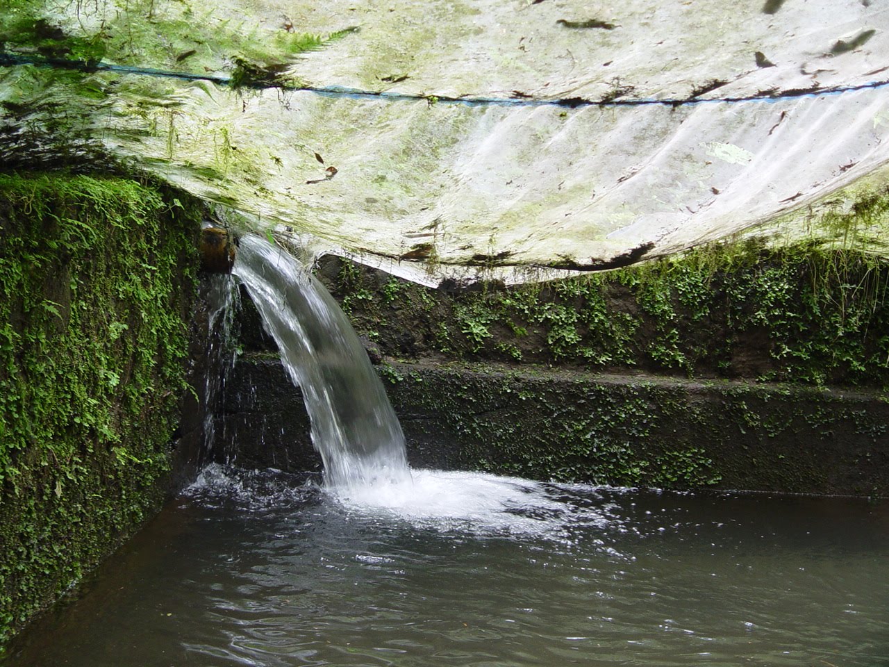 Programa de Geografía de la Facultad de Economía ayudará a resolver desabasto de agua en Teocelo