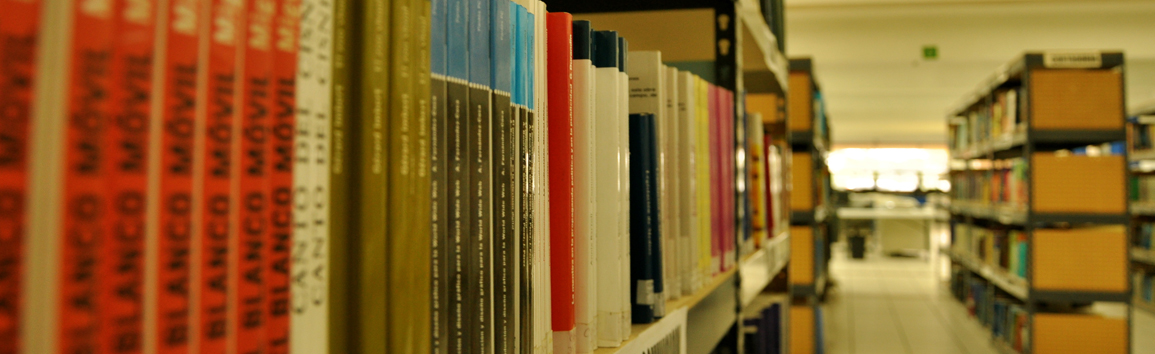 Bibliotecas públicas de Coatzacoalcos están listas para los cursos de verano 2013
