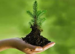 En México existe más conciencia sobre la importancia de cuidar el medio ambiente
