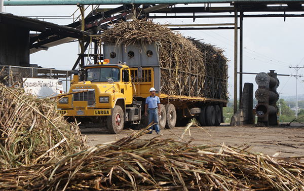 Gestiona gobierno respaldo a productores de caña