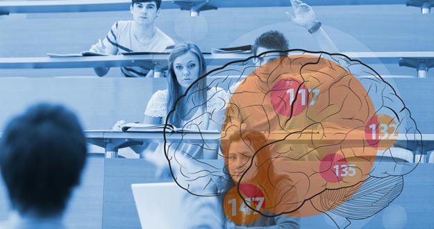 Aprender un idioma depende de la conexión entre regiones del hemisferio izquierdo del cerebro